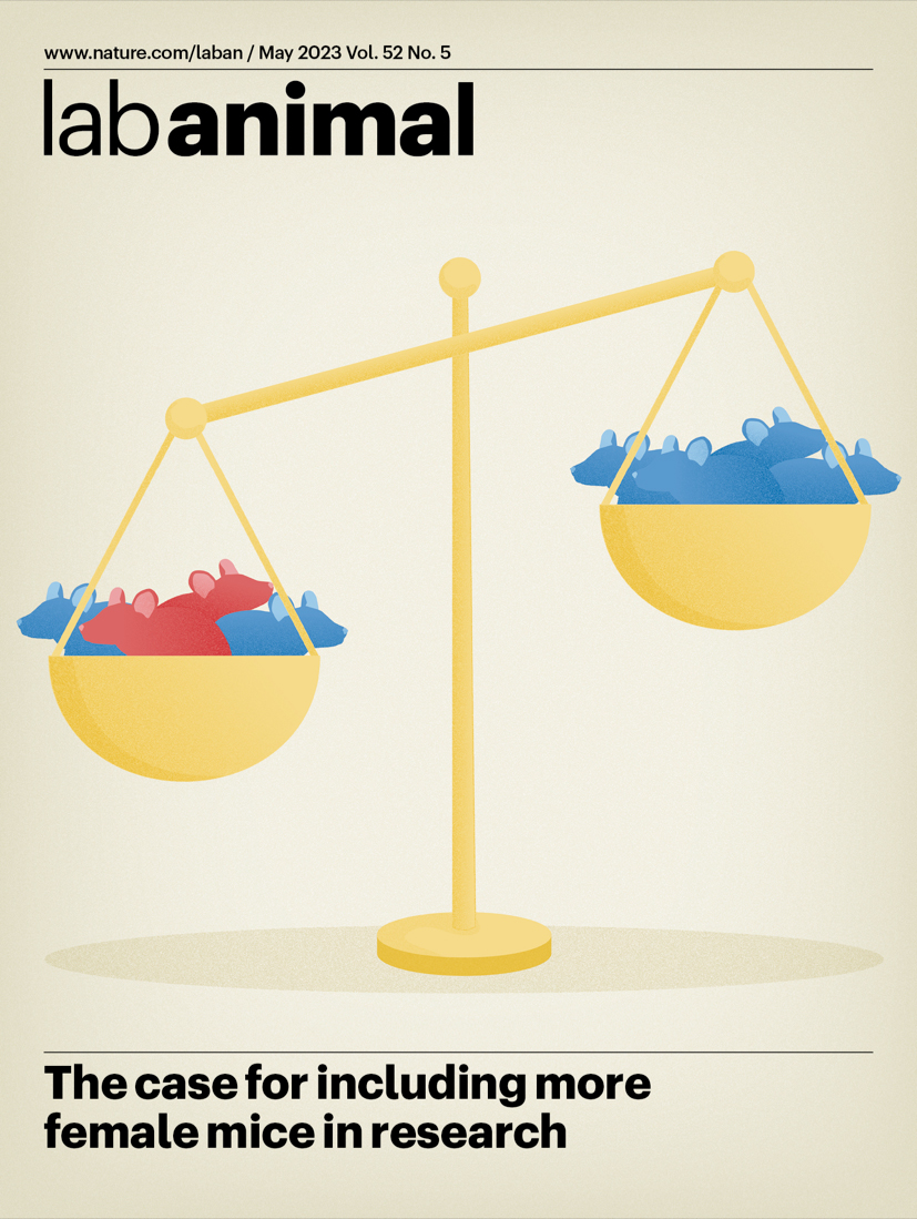 LA_NatRes's tweet photo. ✨Our May issue is now live✨
https://t.co/sCFC9PyzN9
On the cover: a N&amp;V discusses recent findings challenging the assumption that female mice should be excluded from research because of their hormonal cycle.

Link👉 https://t.co/WY4oTR4Ti1 https://t.co/1IRAFg1Lyh