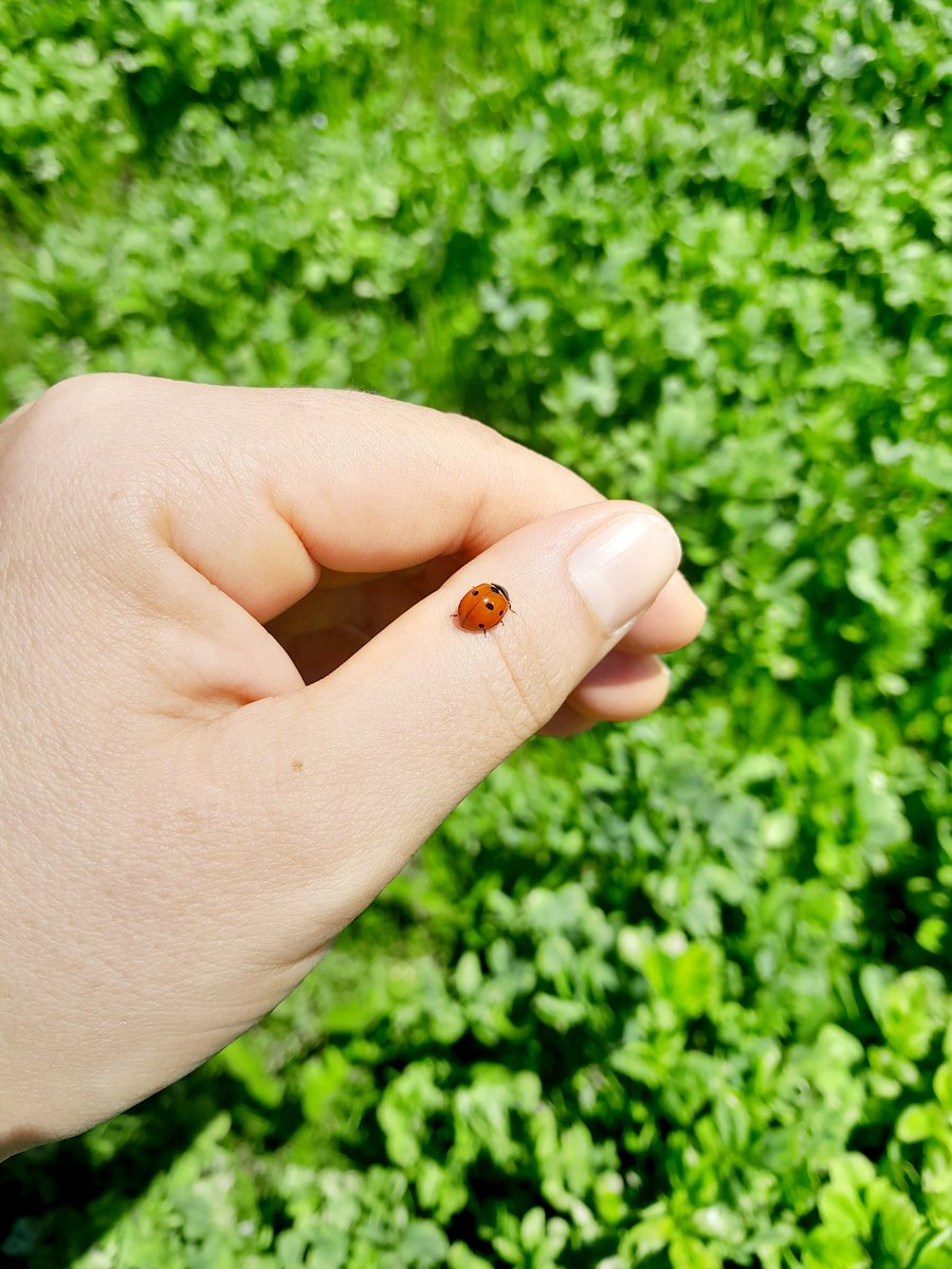 Bu tiwiti okuyanların şans ve uğur tüm yıl boyunca hayatlarında olsun🍀🍀🍀🧿🧿