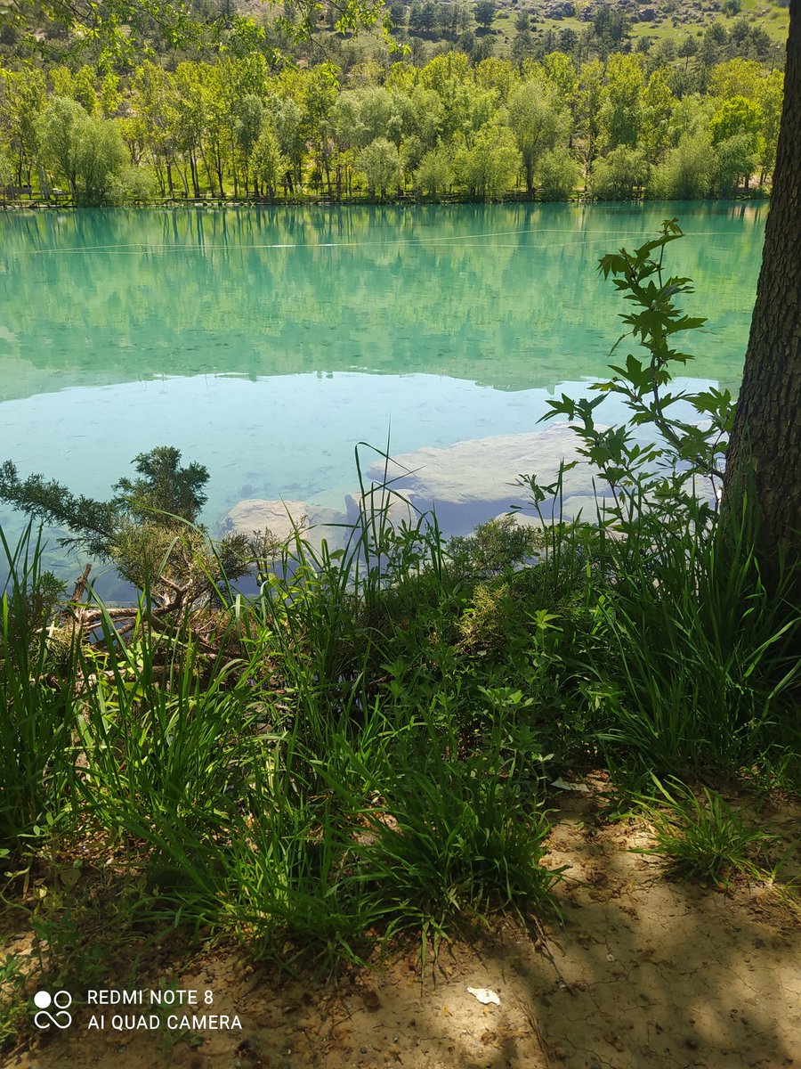 Şehrin açık ara en güzel yeri.
Doğayla huzur buluyorum.
Anlamsız kalabalıkları sevmiyorum.
Kuş sesleri, sakinlik ve mis gibi hava bırakıyorum.
En büyük yoldaşlarım: kitabım ve çayım bana eşlik ediyor.
Sessize alıyorum.