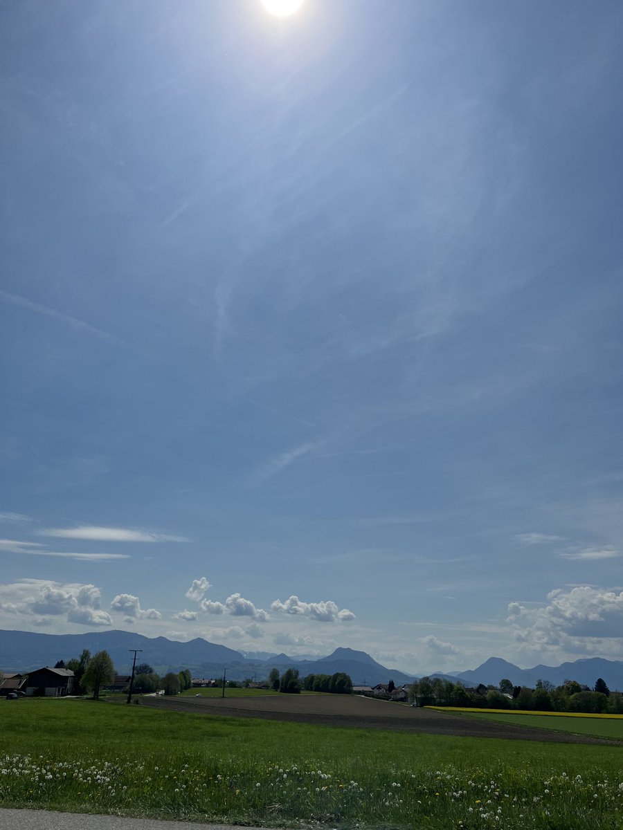 LadyLachfalte tweet picture