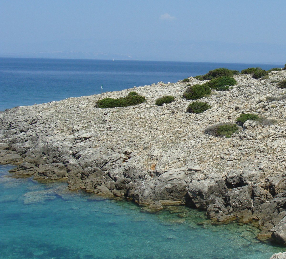 Ernie Els Design & Hospitality tweet media