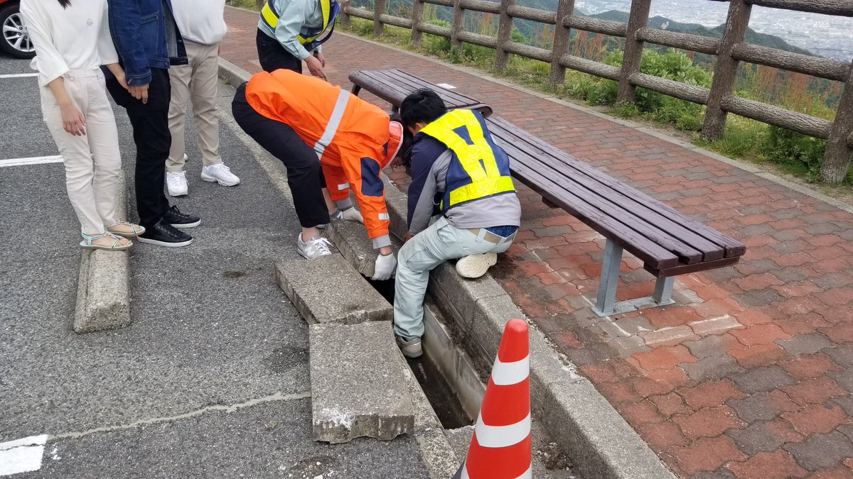 CHAOSVIPERPOWER's tweet photo. 芦有道路の東六甲展望台で小学生の女の子が持ってきたゼニガメが偶然が重なり溝蓋の穴に落ちてしまいました。
道路管理会社に連絡したら来てくれて蓋を外したりしてくれたのですがコンクリート製で重いし隙間も無いので1つ取るのもかなり大変でした。覗いてもカメが見当たらずみんな諦めかけてたら… https://t.co/0oPWfiseOx