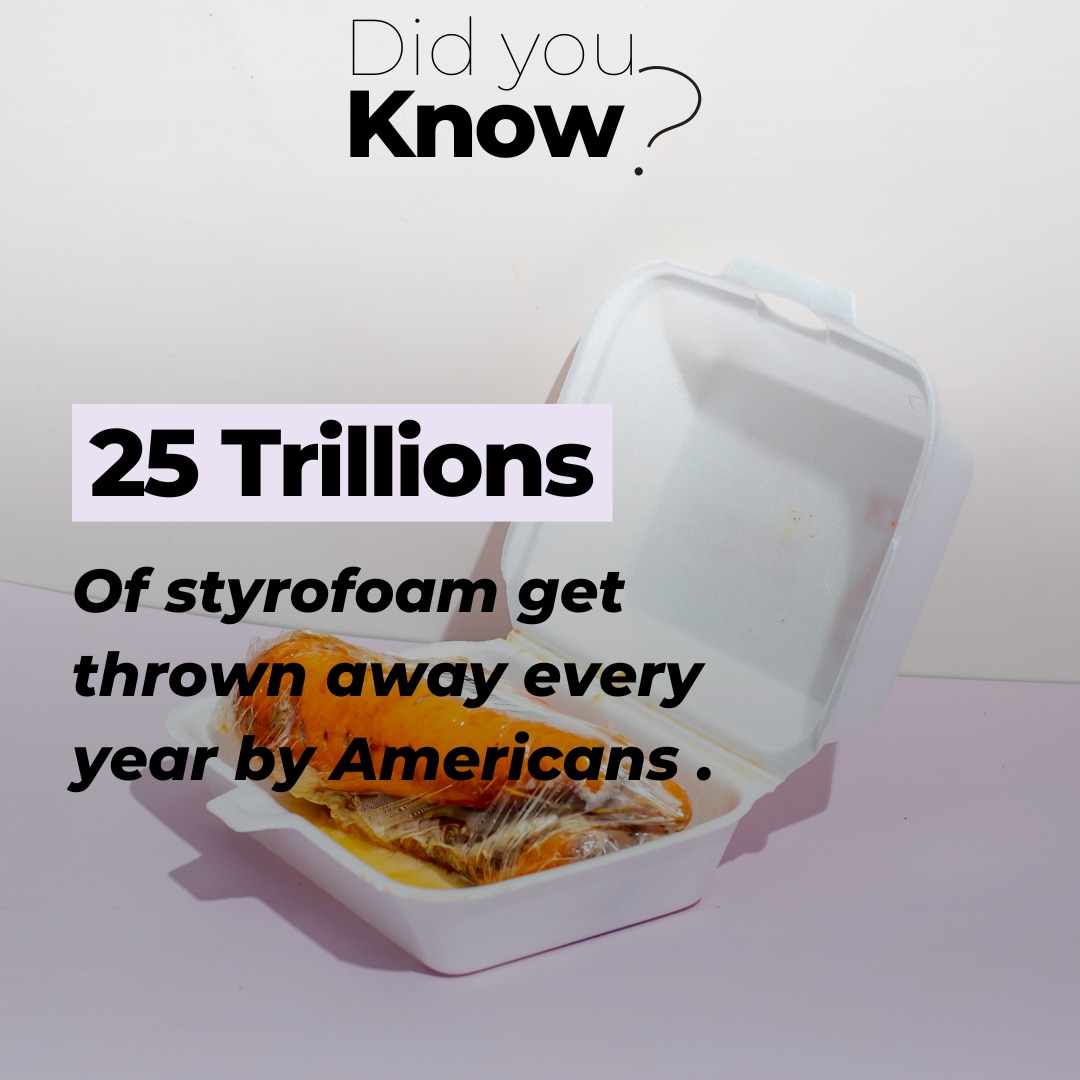 ShebaPlastic's tweet photo. Styrofoam cups take 500 years to decompose and cannot be recycled. That's 500 years of pollution caused by a single cup! Let's make a change and switch to reusable cups to protect our planet 🌎♻️. #sayNoToStyrofoam #SustainableLiving #shebaplastic https://t.co/D6qPBENqbE