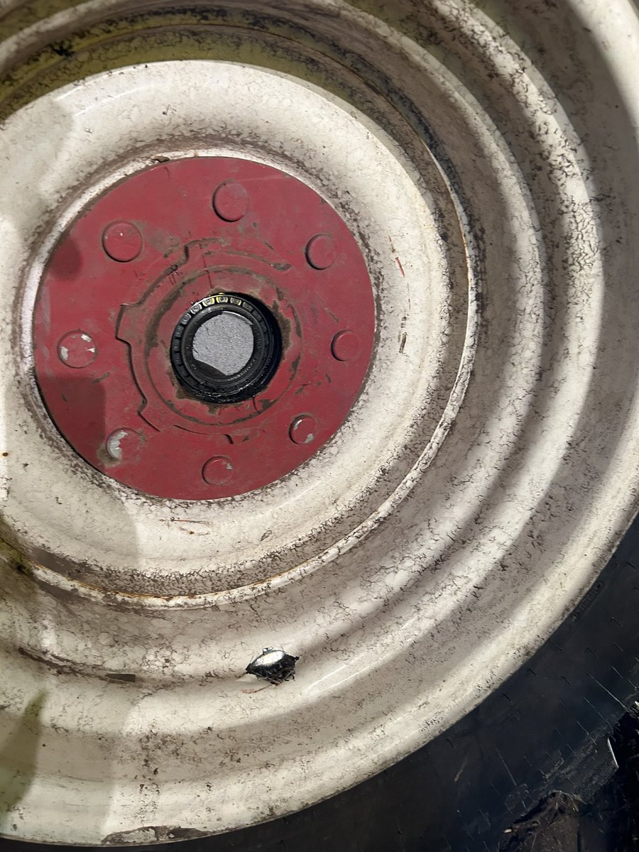 Tim Polkinghorne tweet media