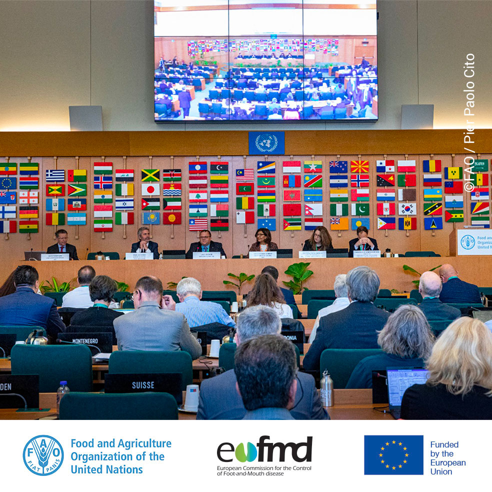 The 45th General Session of the #EuFMD brought together Member Nations and partners to endorse the new #MoveFAST Strategy for 2023-2027. Thank you to all participants and organizers for their efforts in our shared mission to create a FAST disease-free Europe.
