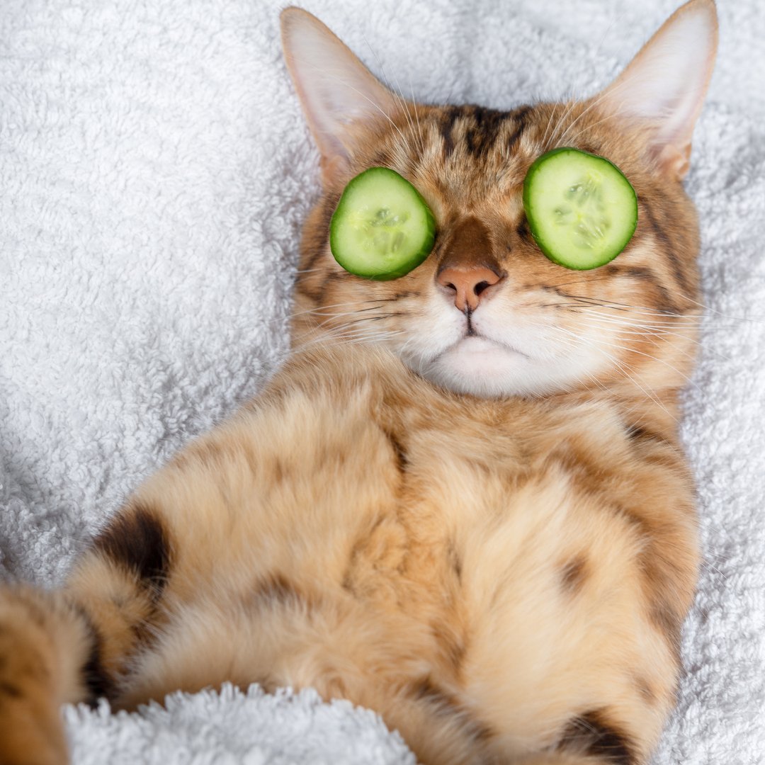 ukcartridges's tweet photo. Relax, it's the #weekend. We offer secure online ordering, free delivery and great prices so you don't need to worry about shopping for your office supplies. https://t.co/t6lXFAbqNY