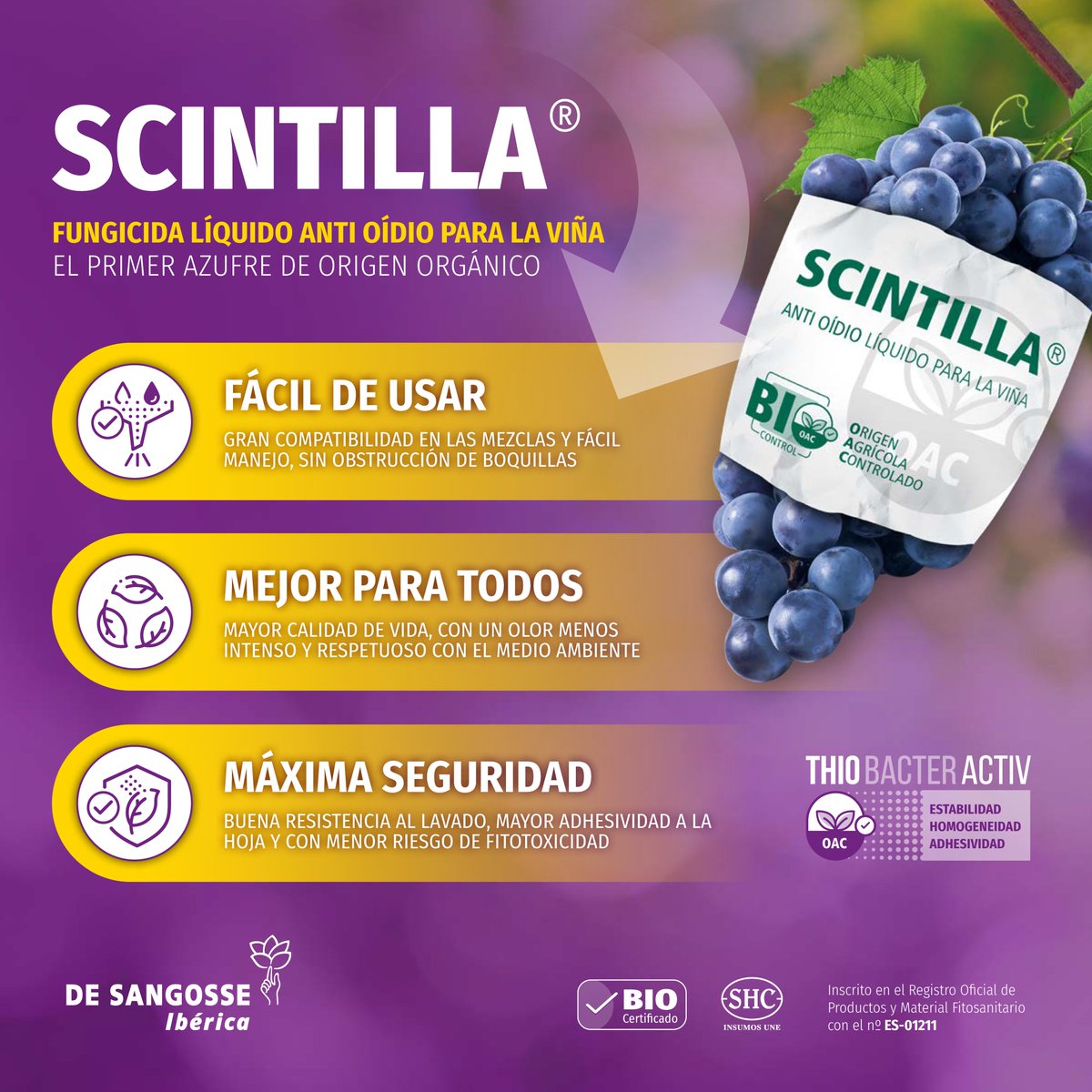 DE SANGOSSE IBÉRICA tweet media
