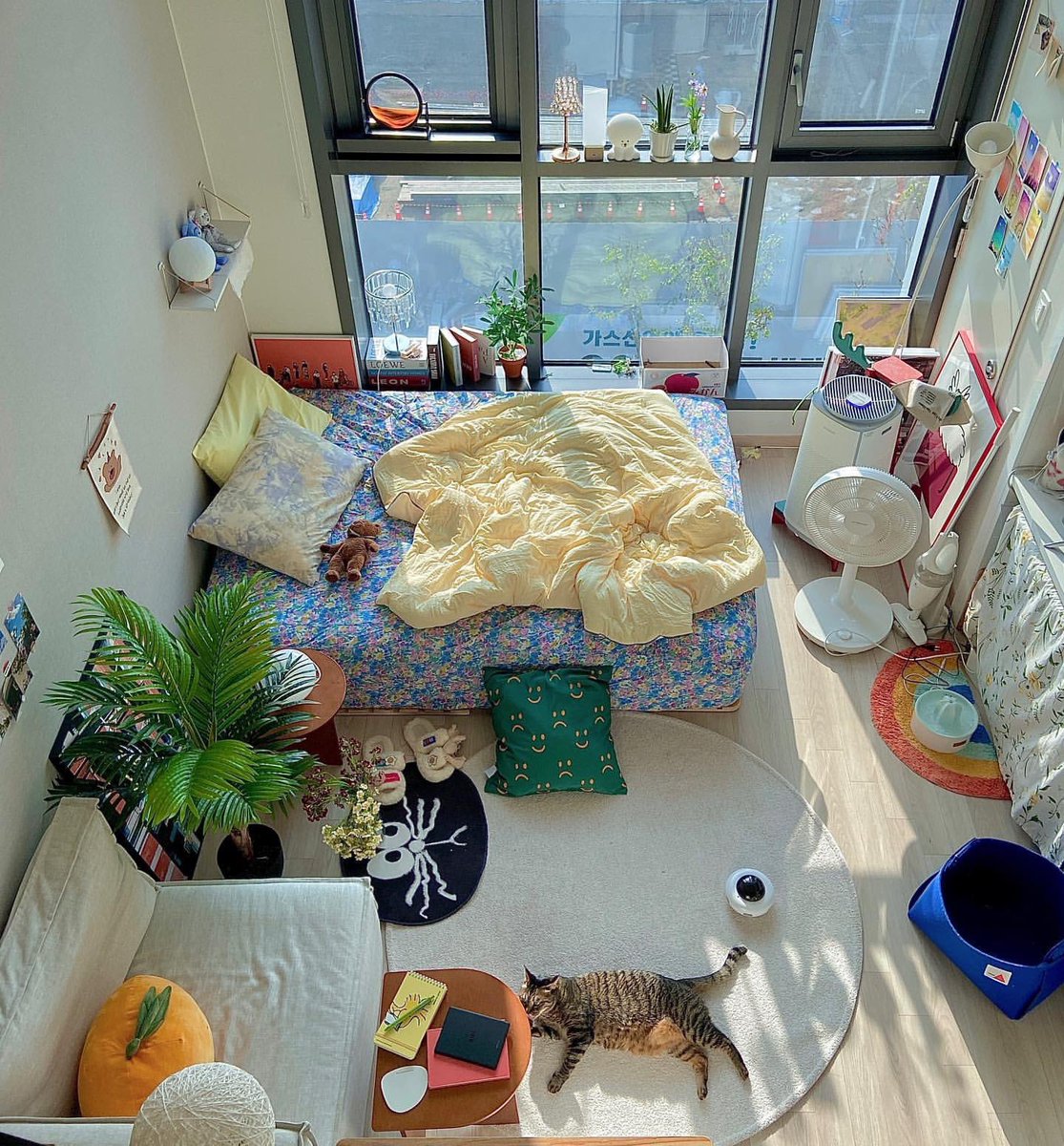 🔍🧺🥸🎨🛝🍳
           𝗂𝗀 : 𝗅𝗅𝖾._.𝖽