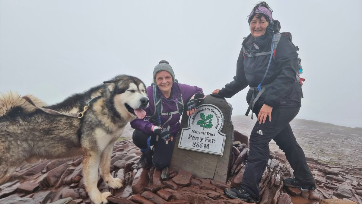 Tracy Purnell tweet media