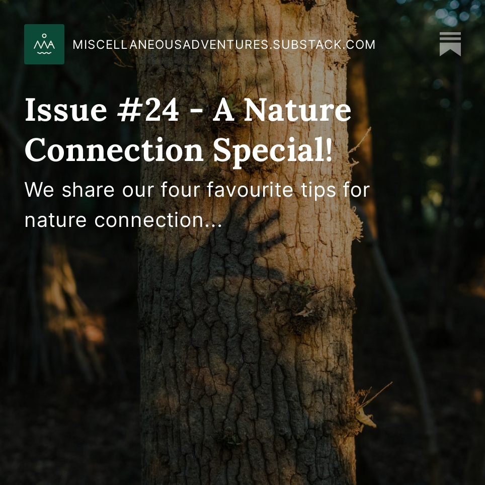 Misc. Adventures tweet media