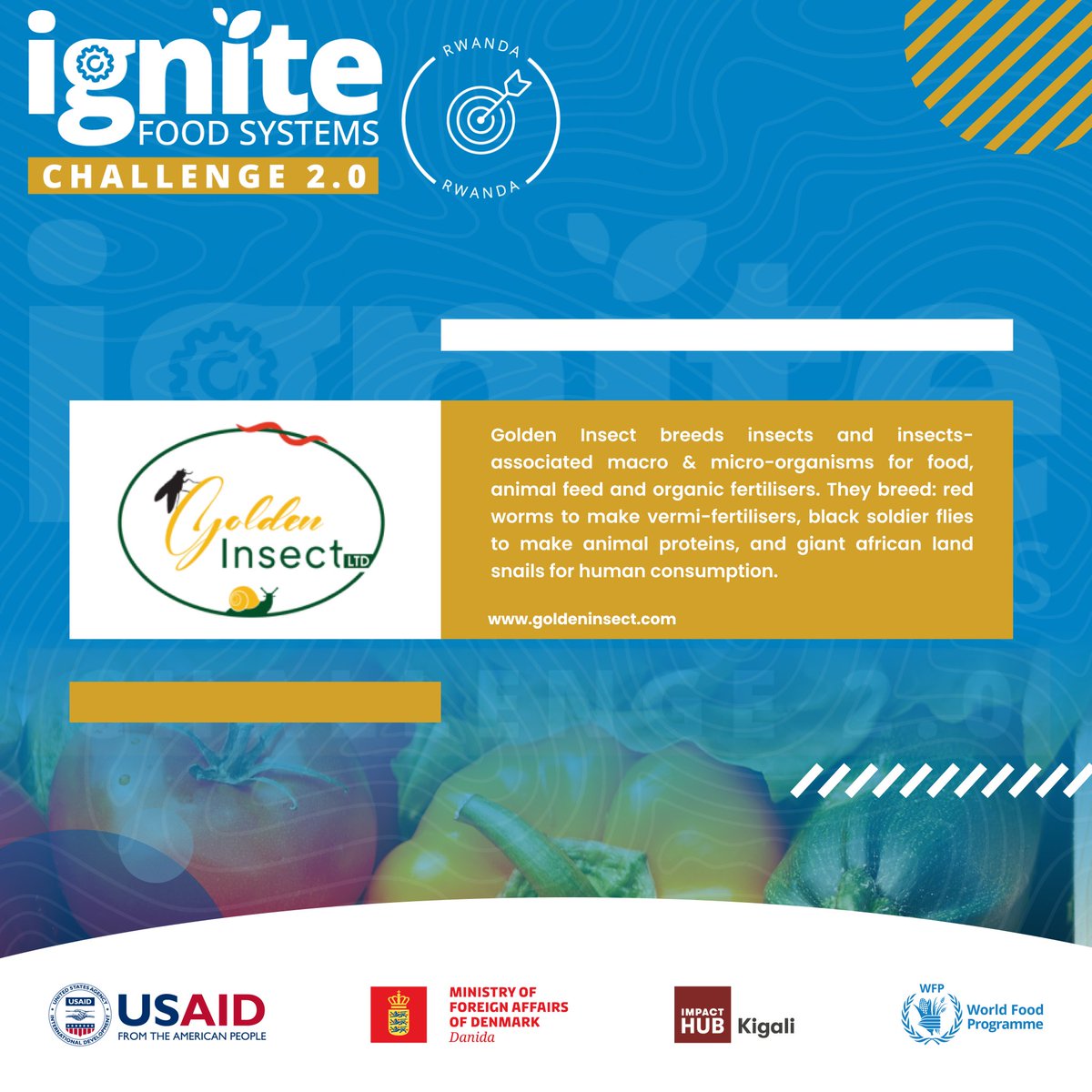 Impact Hub Kigali tweet media