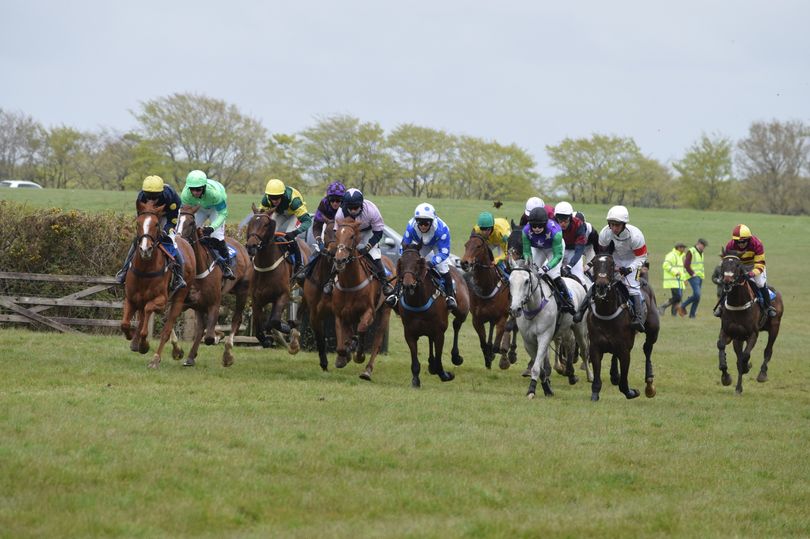 What better way to round off a historic weekend! Point-to-point racing action fit for a King at Eggesford meeting in #Devon 🏇👉 devonlive.com/sport/other-sp… #Coronation #Coronation2023 #KingsCoronation #CoronationWeekend #gopointing #horseracing #letsgoracing #jumpracing