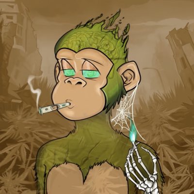 NFT Bros tweet media