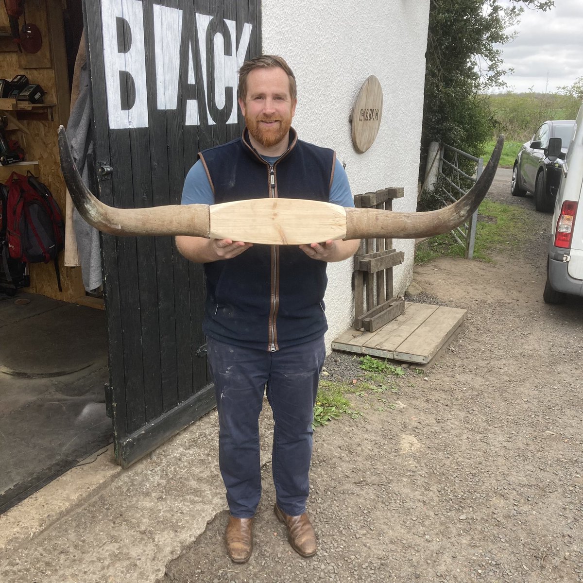 oakandblack's tweet image. What about these Hielan’ Coo horns we mounted for our friends at @GilmourButchers ? These will be wrapped and then mounted in @GordonRamsay ‘s London restaurant 😁
#customprojects #custommade #scottishbusiness #oakandblack
