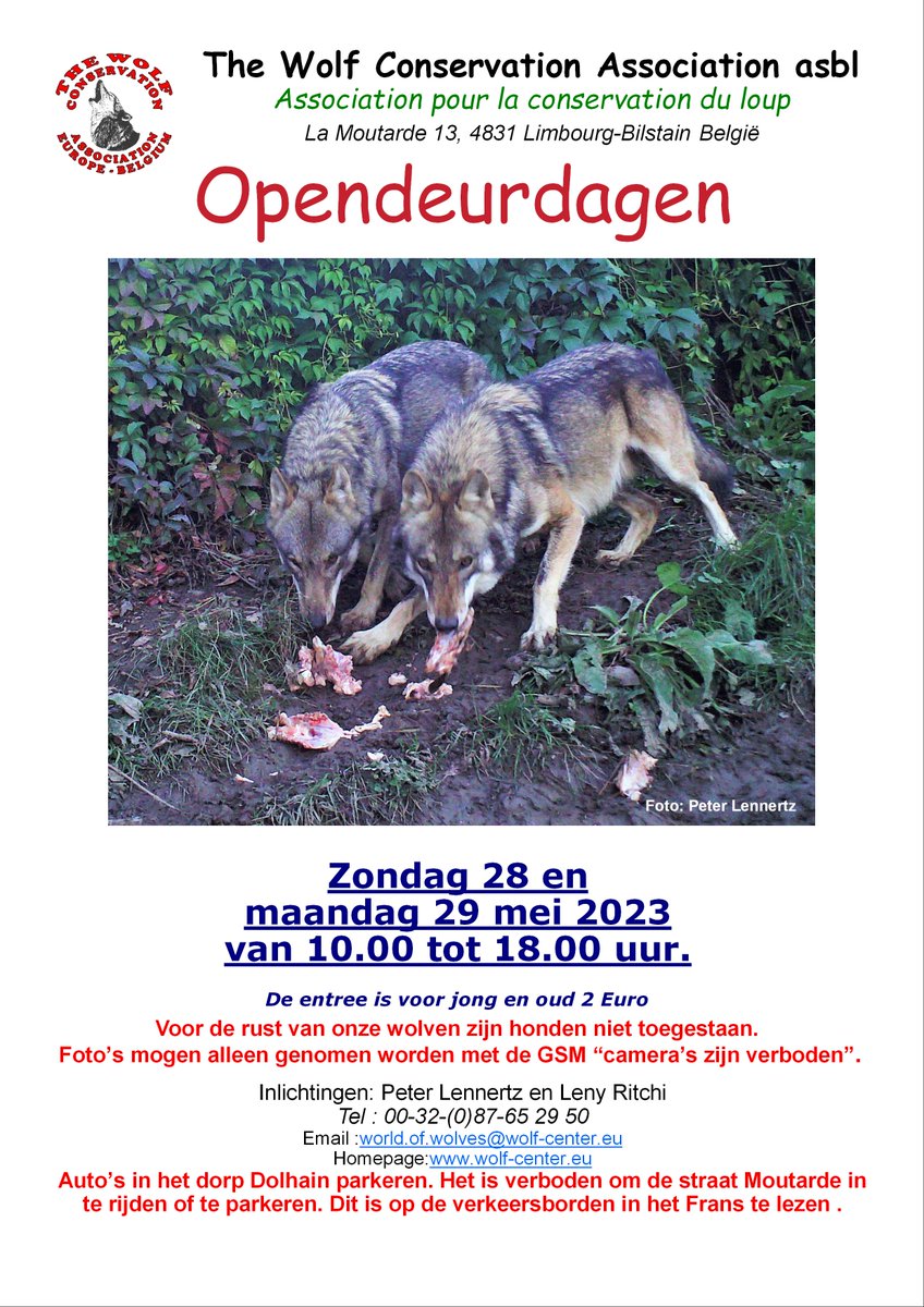 PeterLennertz's tweet photo. Welkom op onze opendeurdagen.
 Op zondag 28 en maandag 29 mei 2023 van 10.00 tot 18.00 uur
 Ontdek de mooie wereld van de wolf
 Kijk en luister naar hun verhaal.
 Leer hoe ze leven in de natuur.
 Kijk verder op Facebook; https://t.co/oxOpcy8Xbz https://t.co/5hSJn5bpmk