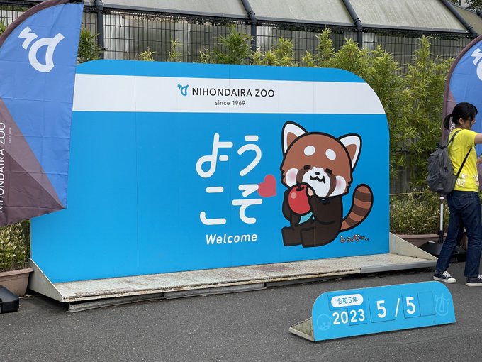 zoo🫶 https://t.co/wiPUBoxshH