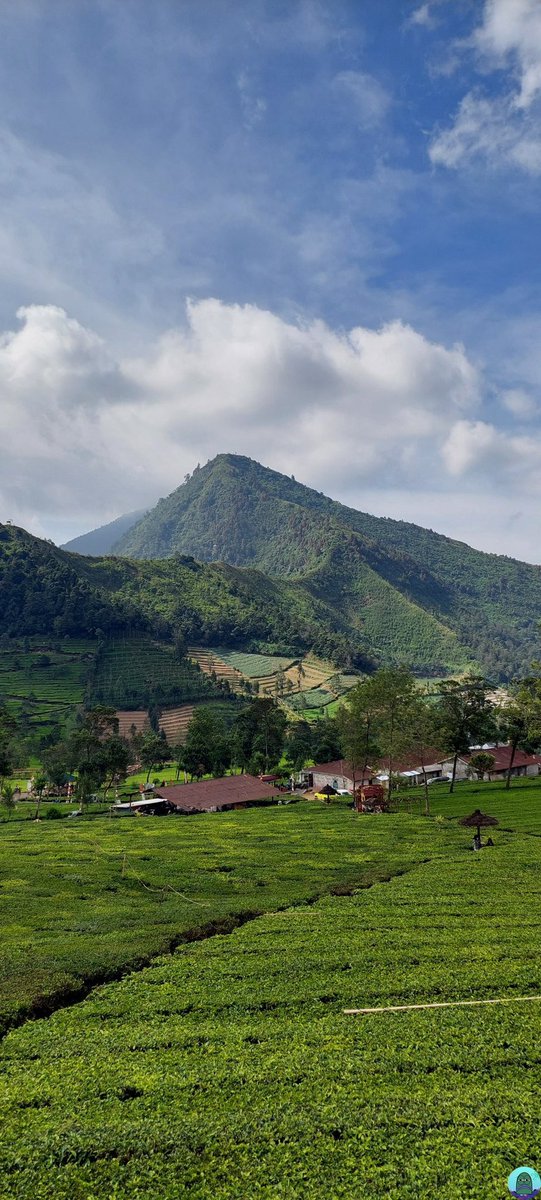 Tanyarl 💚 tweet media