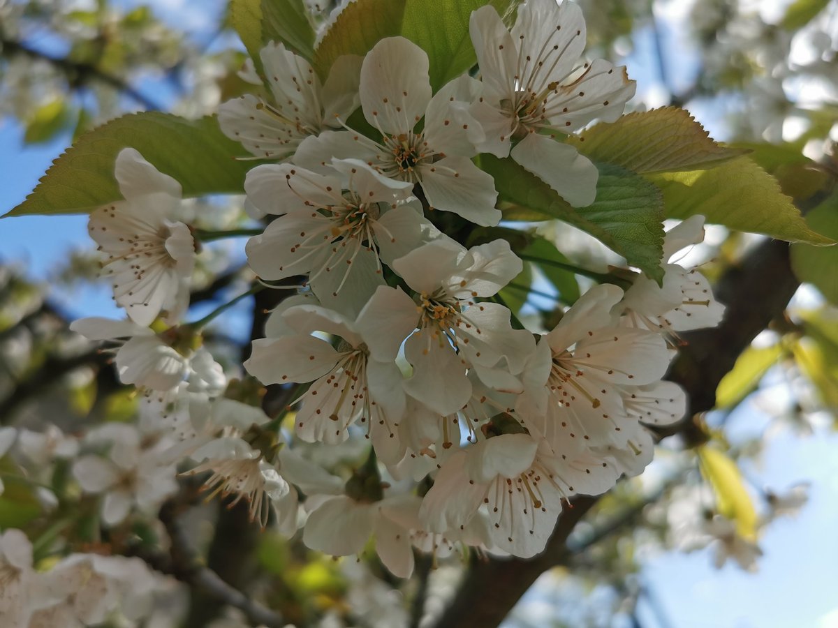 ylllayllla's tweet image. Dzień dobry:) Senny dzień dziś. Nie mogę na pracy się skupić. Szukam słońca na #tt :D