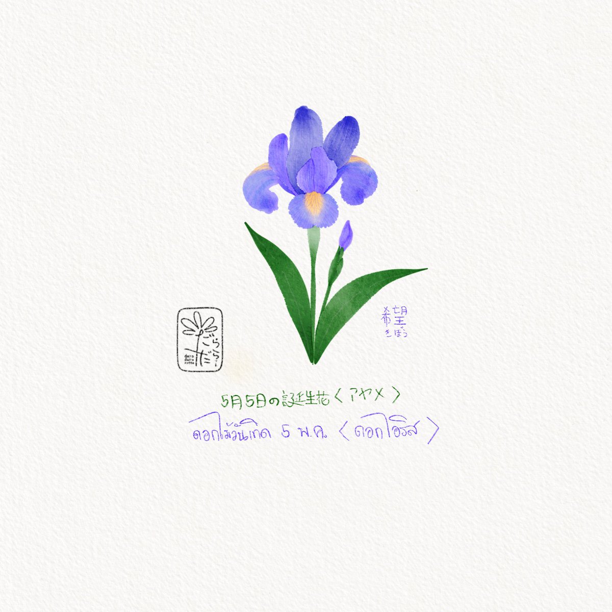daradaRatto17's tweet photo. ดอกไม้วันเกิดประจำวันที่ 5 พฤษภาคม
ดอกไอริสหรือ Iris sanguinea”
ญปเรียกว่า อะยะเมะ
ภาษาดอกไม้คือ ความหวัง https://t.co/RmElILHavW