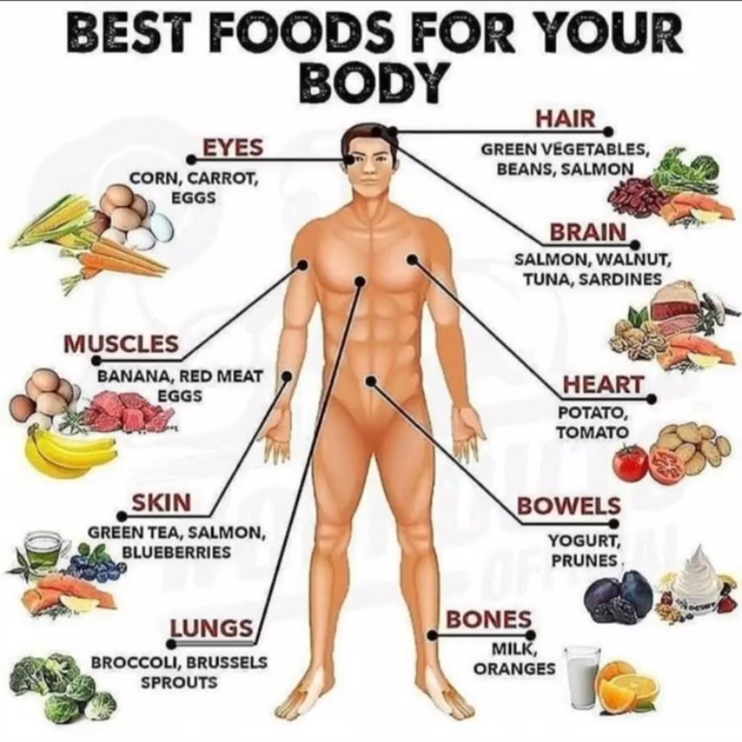 Best food for your body