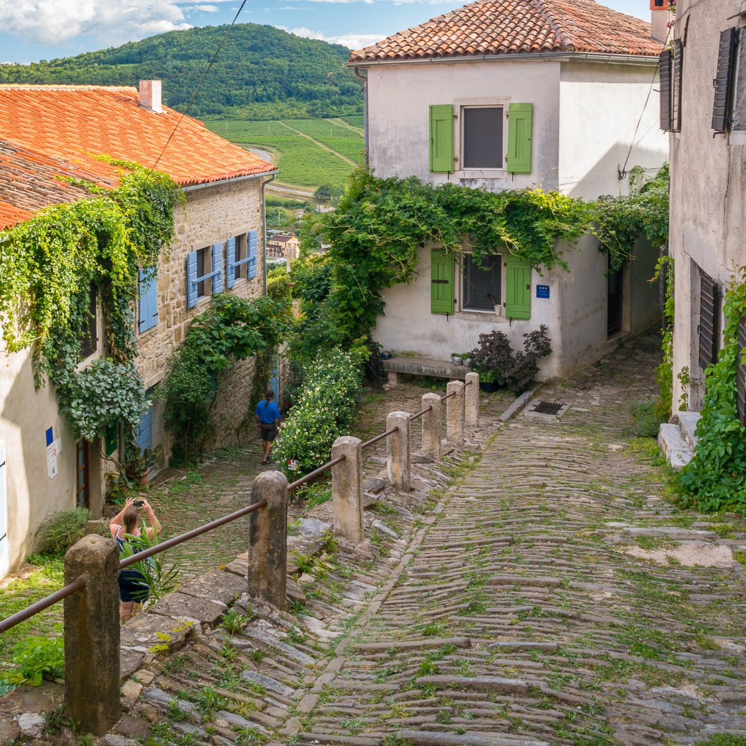 🌳🌸 Spring awakens #Motovun's natural beauty as lush #greenery adorns the town's attractive streets. 🚶‍♂️ Take a stroll through this #charming #Istrian #gem and escape into its calm atmosphere.