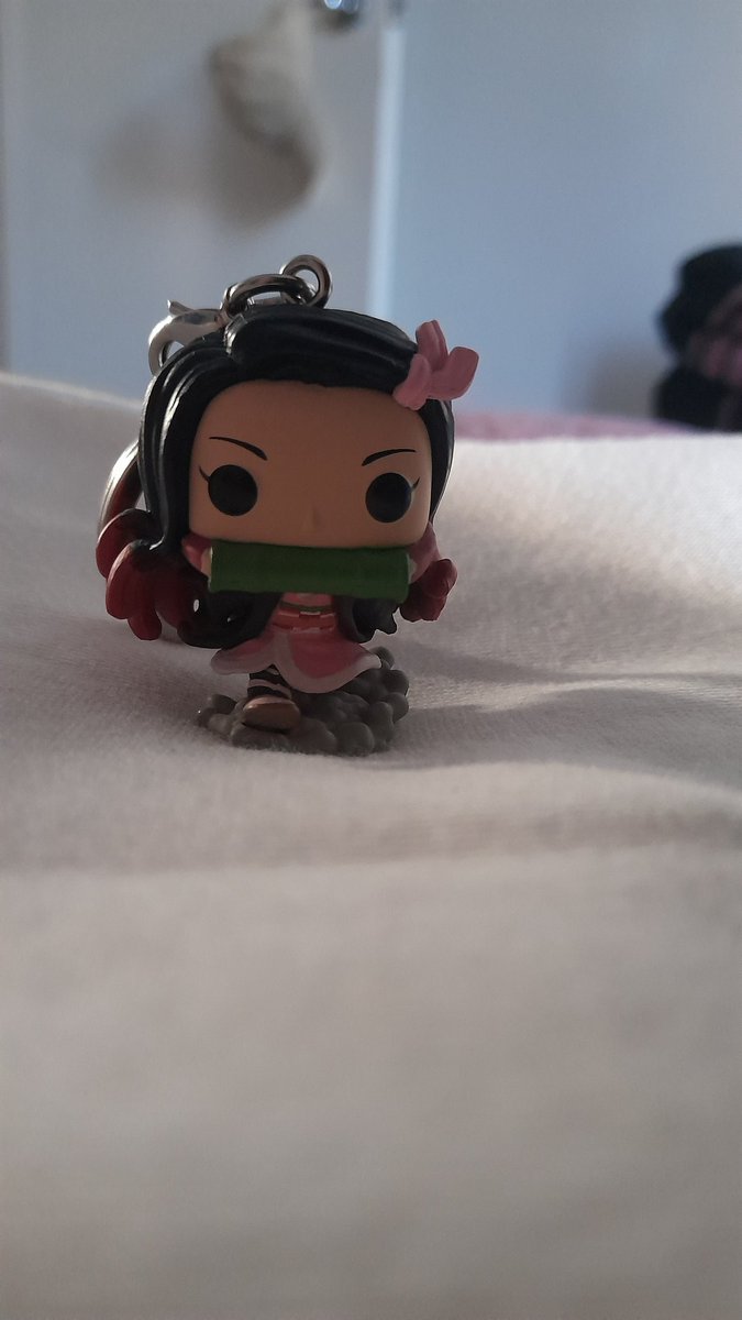 Burns13Hollie's tweet photo. Nezuko #popKeychain #DemonSlayerSeason3 #nezukokamado https://t.co/6Ttsd9XGsk