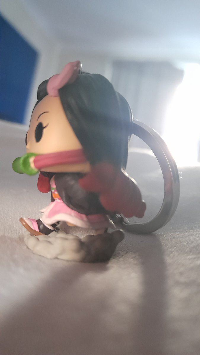 Burns13Hollie's tweet photo. Nezuko #popKeychain #DemonSlayerSeason3 #nezukokamado https://t.co/6Ttsd9XGsk