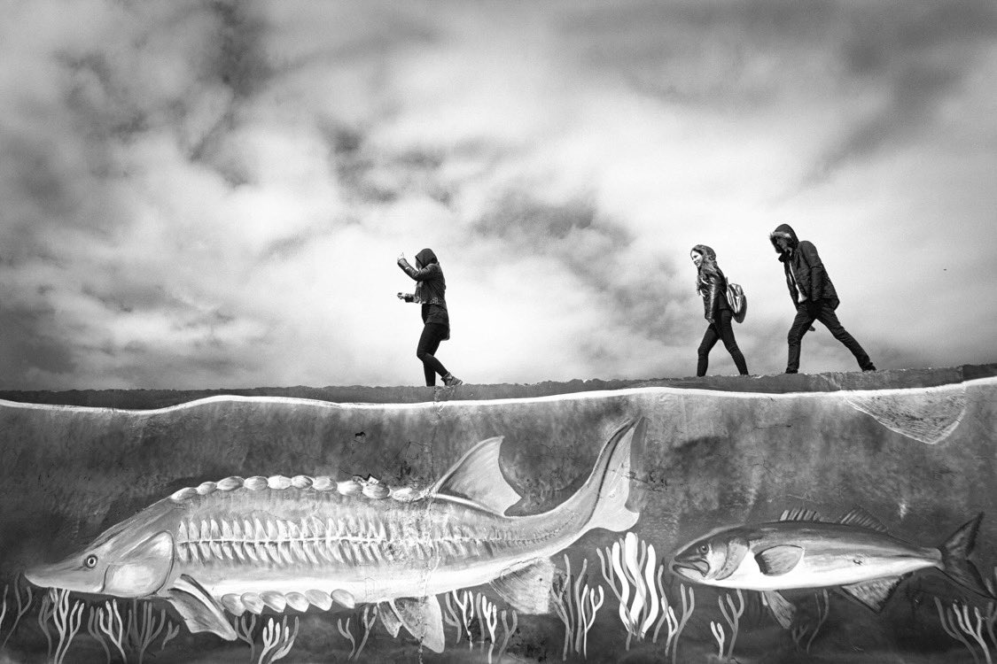 Have a good Friday 🤍🌸

🤍 WALL 🤍

Let's not build a wall between us.
In search of solitude the culprit is clear.

<a href="/objktcom/">objkt</a> for #tezos  

objkt.com/asset/KT1G3avu…