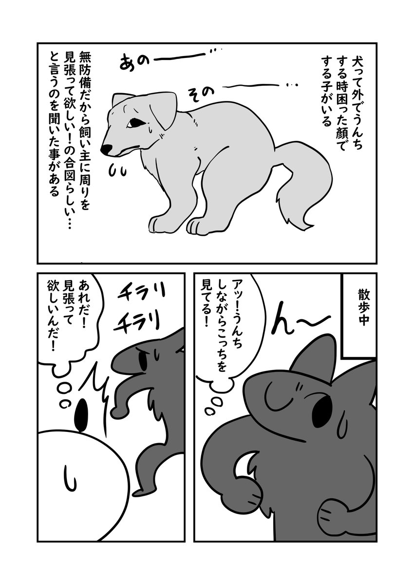 うんちガン見犬の話