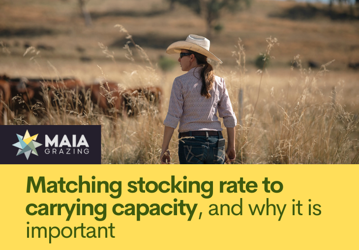 AtlasGrazing's tweet photo. Matching your stocking rate to carrying capacity (SR:CC) is crucial for producers to be profitable and sustainable. Learn why in our latest blog post. #livestock #grazing https://t.co/vEkOt2OU7F https://t.co/arHiz1AqrW