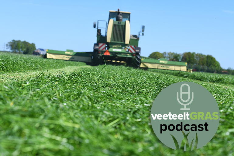 In de derde VeeteeltGRASpodcast van dit seizoen: Bert Philipsen wijst op het belang van groeitrappen maken, juist in een nat grasjaar.
bit.ly/3AXDNuA