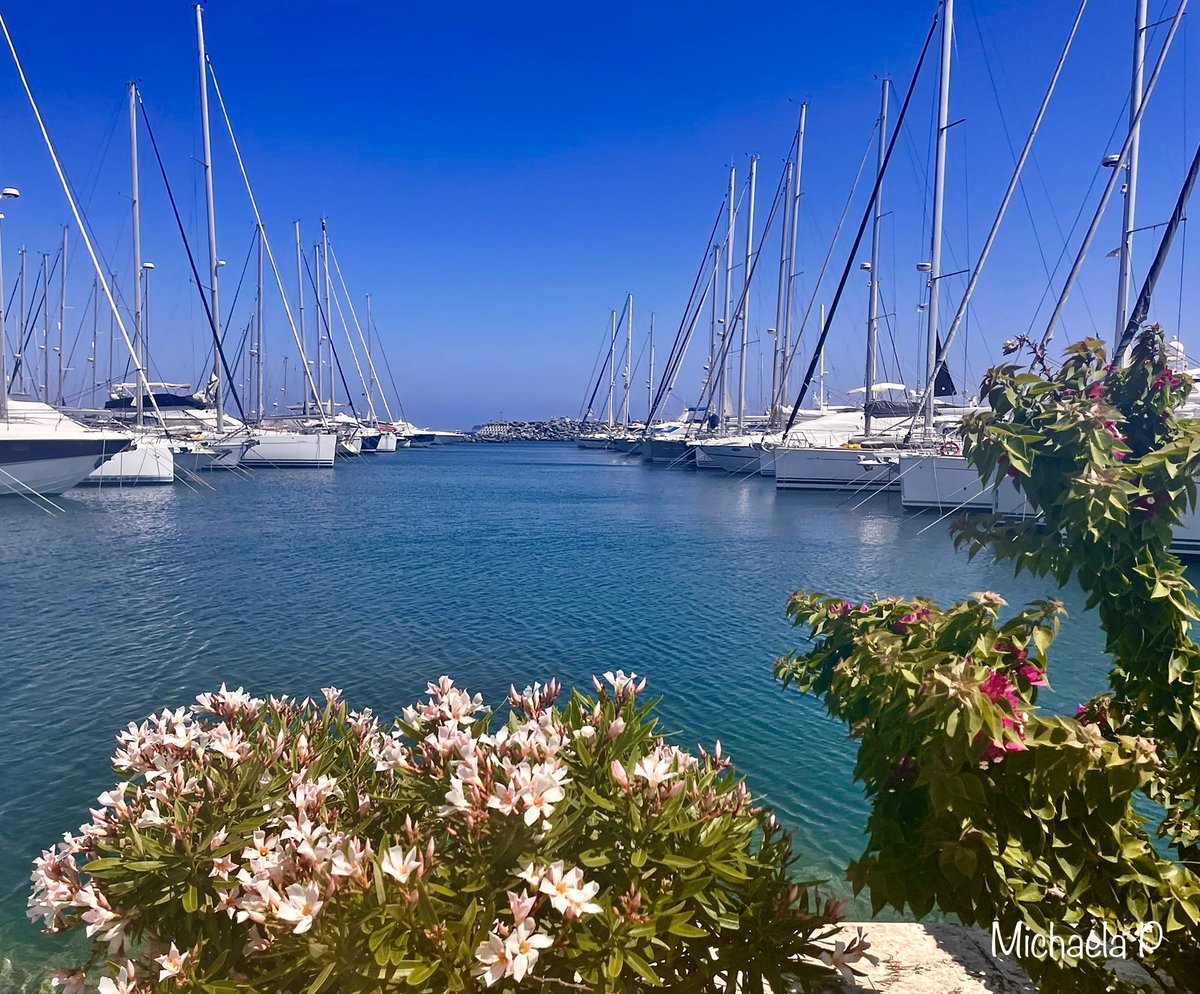 Happy Friday !!💙🌺💙
#photography #nature #flowers #boats #islandlife  #islandlifestyle #enjoyweekend  #destinations  #travel  #Cyprus