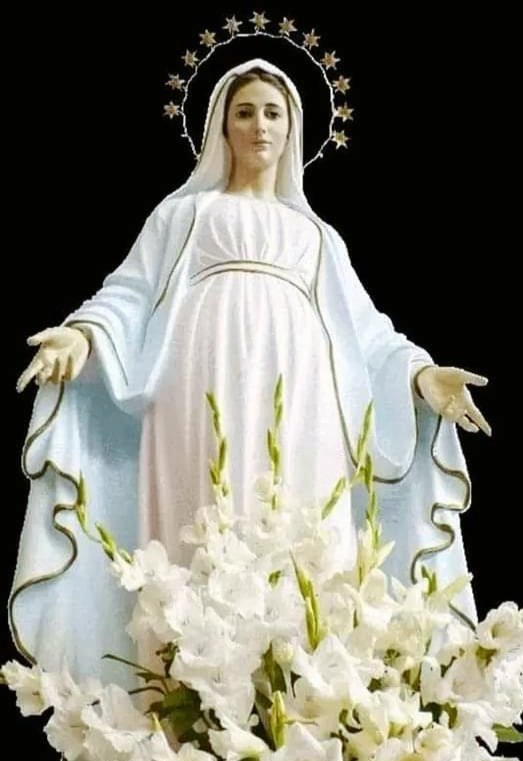 Our Lady of Lourdes,
pray for us! 🙏✝️🌹🕊️

#MonthOfMary #pray #OurLadyOfLourdes #Easterweek4