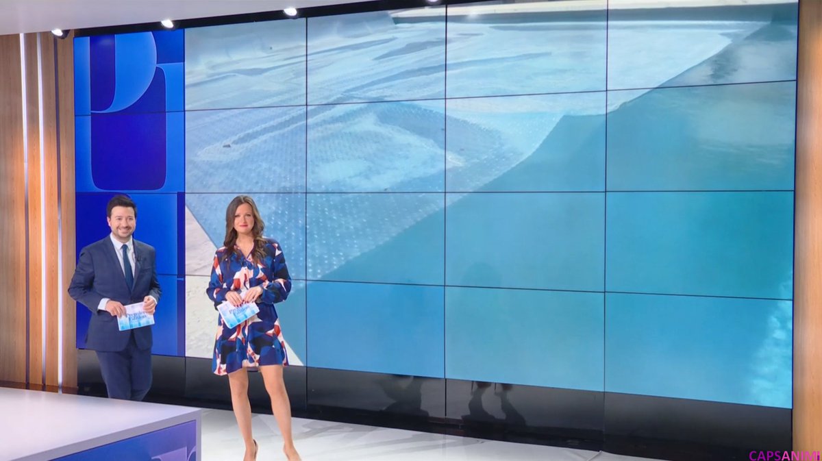 CapsAnim's tweet photo. 📺 @PaulinePioche ce matin dans Première Édition sur BFM TV https://t.co/NizzYY03WK