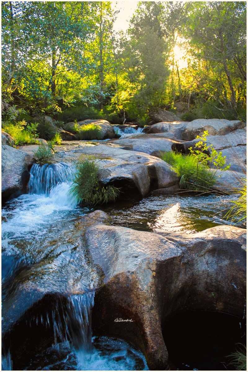 axp0000009's tweet photo. #fotografia #naturaleza #NaturePhotography #photography https://t.co/C2nFH4PymG