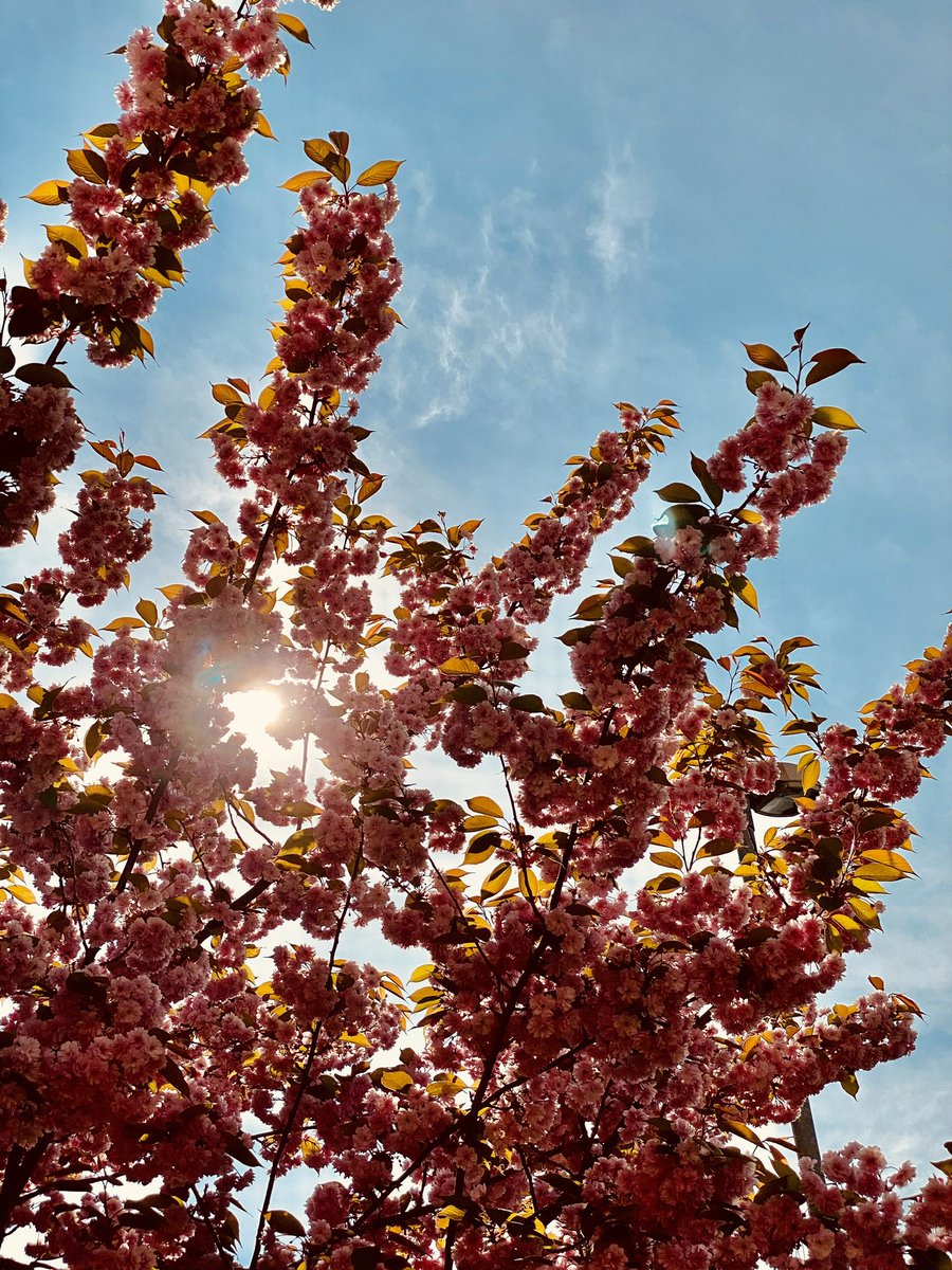 Happy 21st, Millie x