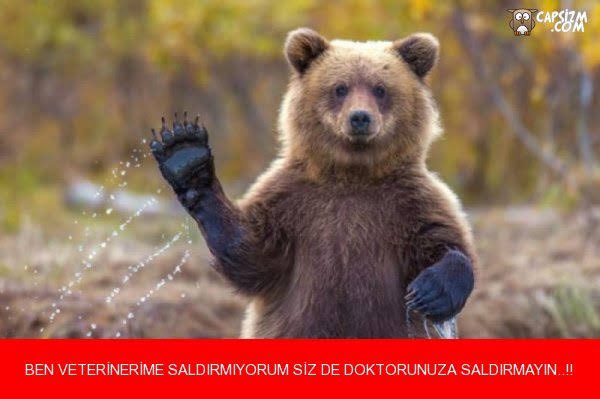eczelifkaya's tweet photo. #doktordövebiliyoruz https://t.co/wpSS0kxgYQ