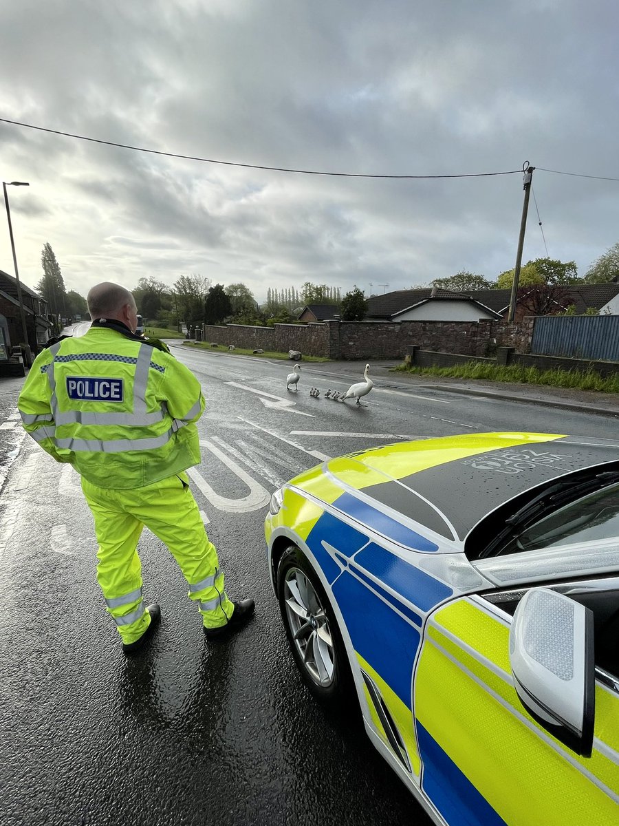 _IanAdams's tweet photo. A typical early shift and great start to the bank holiday weekend for @DC_RPT as this family leave #EastDevon and head for the #KingsCoronation 🦢

@DC_Police 
@UKCopHumour 
@DevonAlert 

#A3052 #Westbound #CatAndFiddle https://t.co/SF7umkWG7u
