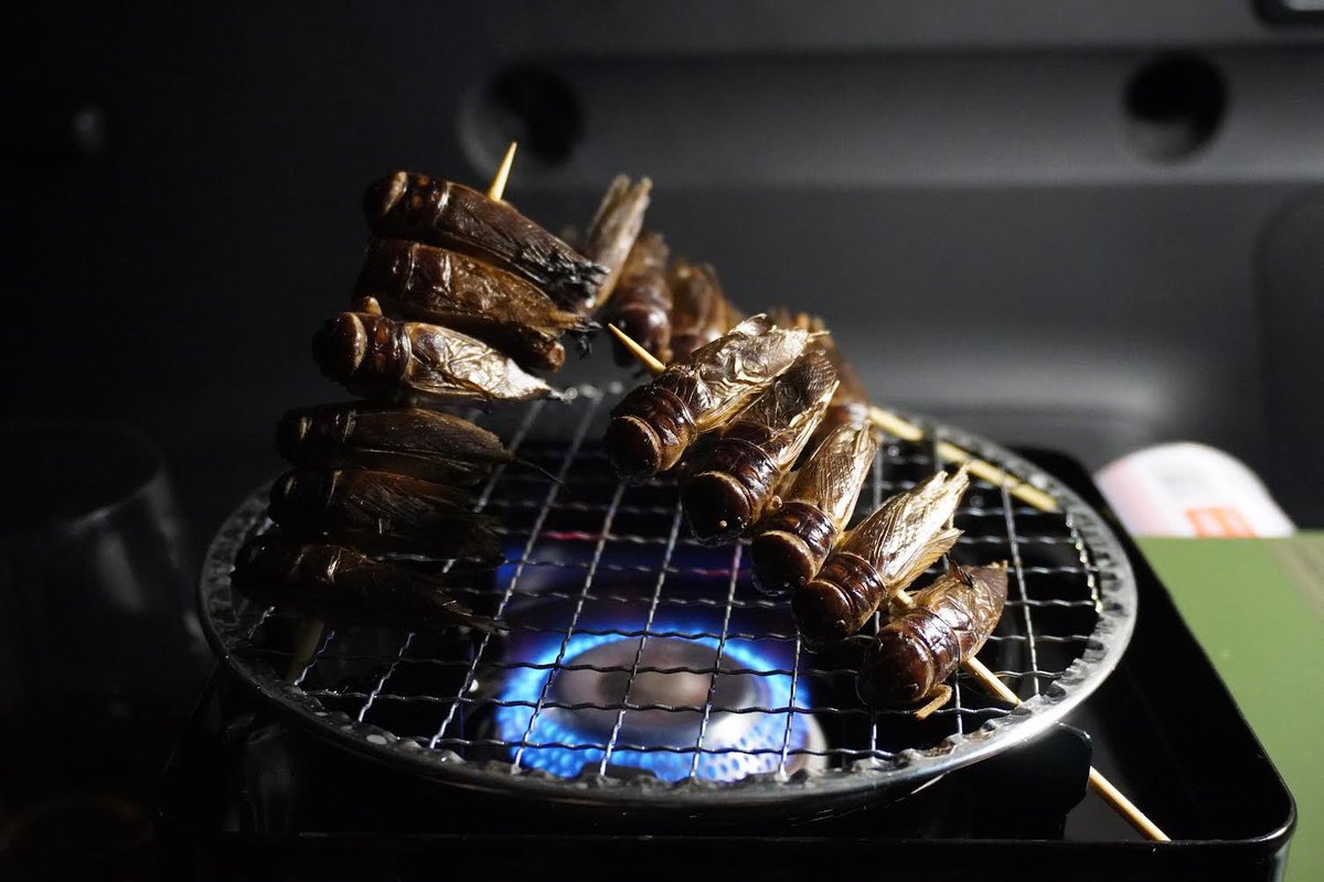 tecout1's tweet photo. 以前から興味があった昆虫食をつまみに車中泊。まずくはなかったです。
https://t.co/uEiiFMYp4x
#車中泊 #釣り車中泊 #昆虫食 https://t.co/IIIXDnWsb6