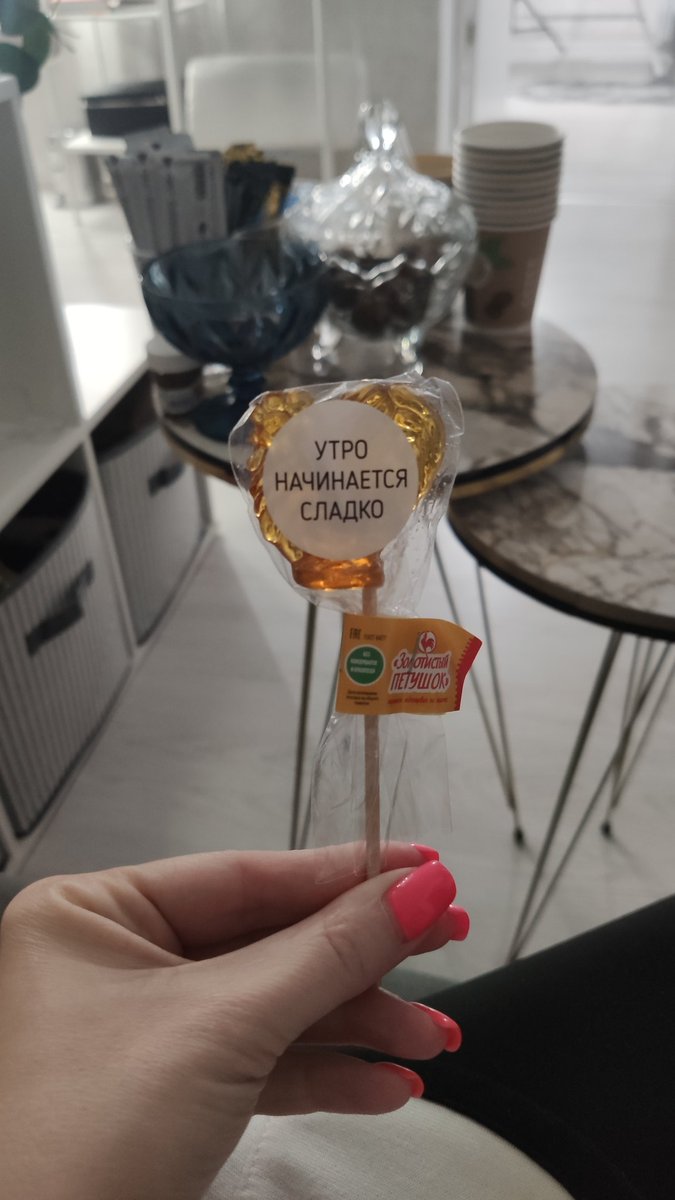 GM🌅

May the morning be cheerful and sweet💛 #MorningLive #NFTComminity