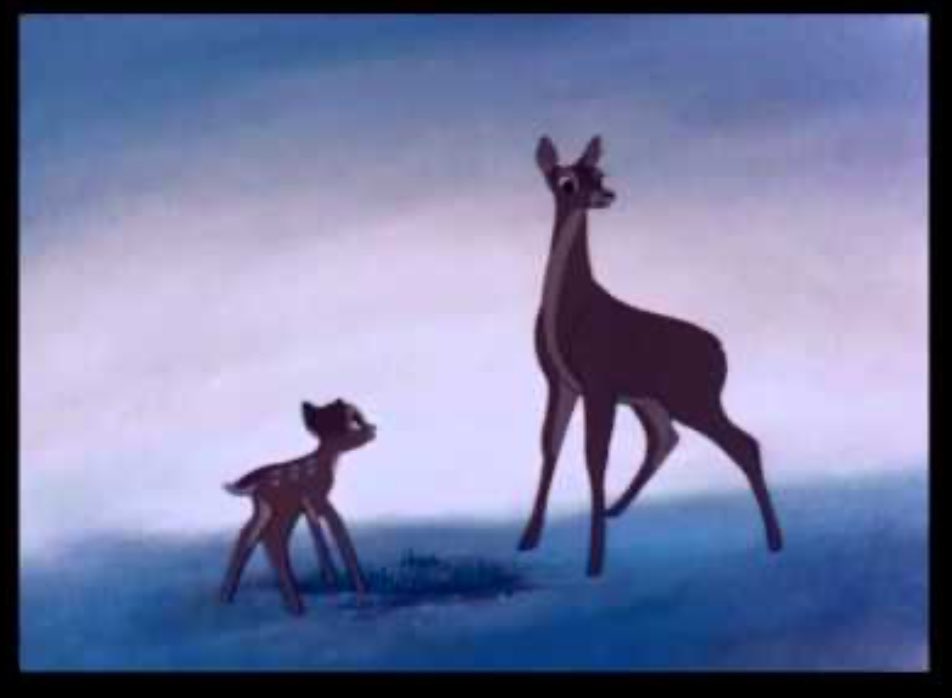 maybehilary's tweet photo. @PicturesFoIder Bambi https://t.co/iYpLvZZAY7