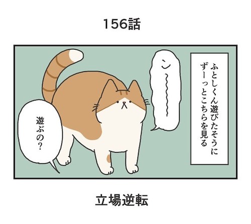 「わかる」「うちもこう」 遊びたい猫と遊んであげる飼い主の立場が…  @grapeejpより