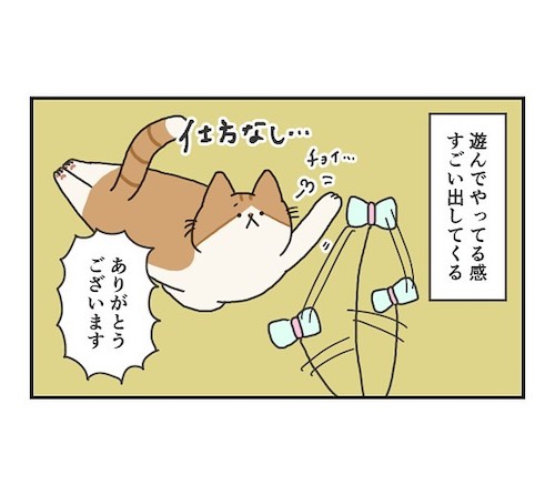 「わかる」「うちもこう」 遊びたい猫と遊んであげる飼い主の立場が…  @grapeejpより