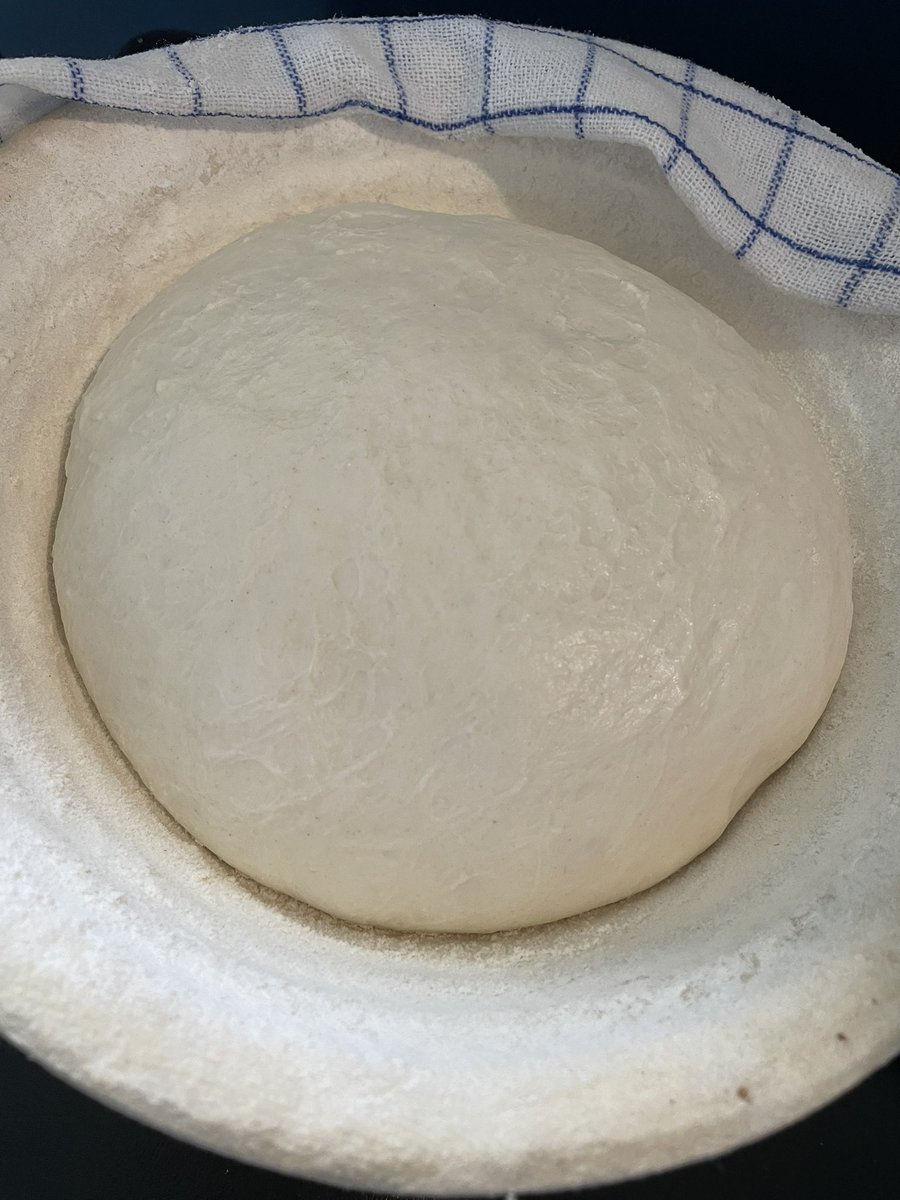 Cryptui0x's tweet photo. @joseojeda Gm Jose,
I thought itβs #PanFriday π https://t.co/hW5hxUfyiL