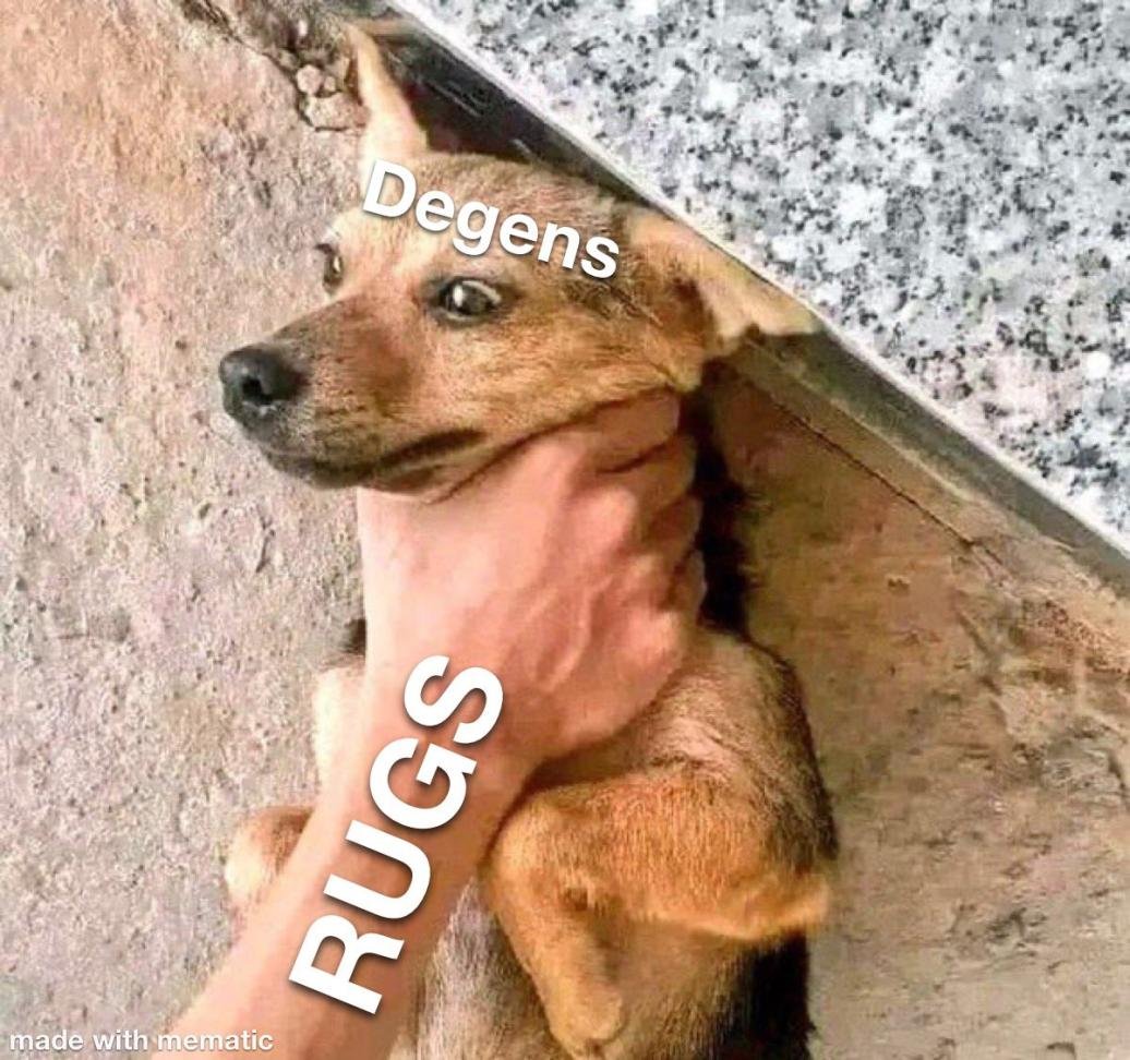 0xRolla (💙,🐙) tweet media