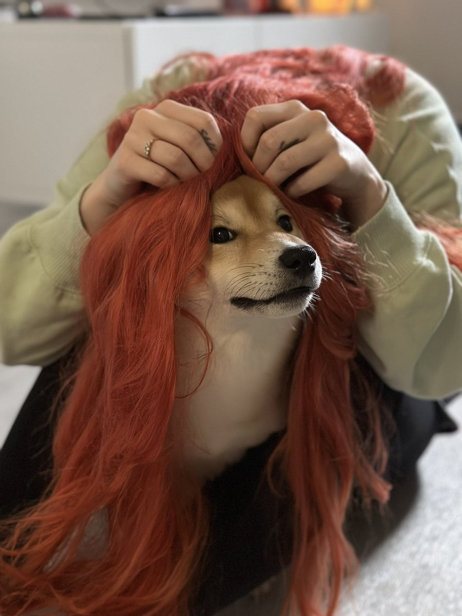 Katr3z's tweet photo. Look how beautiful yoshi is after having hair done 💁‍♂️🥰🤣 https://t.co/vXJAeGkiTH