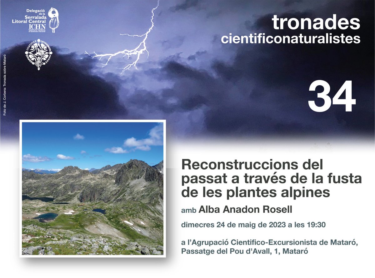 alba_anadon's tweet image. Sabíeu que algunes plantes #alpines fan #fusta? I que fan #anells de creixement com els arbres? I que ens permeten entendre el #clima del passat, present i futur? Si us interessa, en parlaré a la propera #TronadaCientífica del 24 de maig a #Mataró  @SerrLitCen @ICHN_IEC