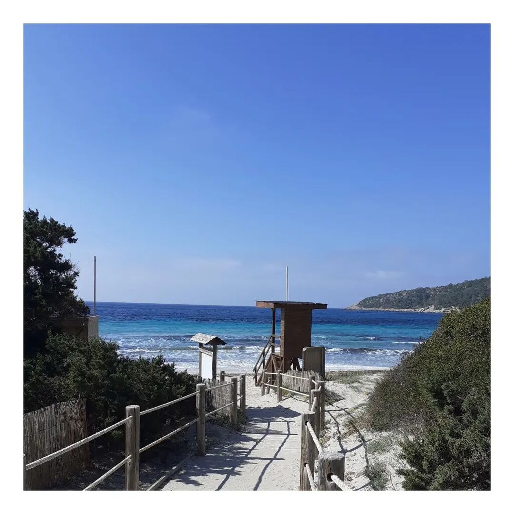 Bon divendres i Bon cap de setmana!!
#curiosidad125
Las ranas tienen dientes!!!
Los antepasados de las ranas habrían perdido la dentadura completa hace 230 millones de años atrás. Las ranas modernas tienen lo que llamamos dientes verdaderos, estructuras óseas constituidas po…