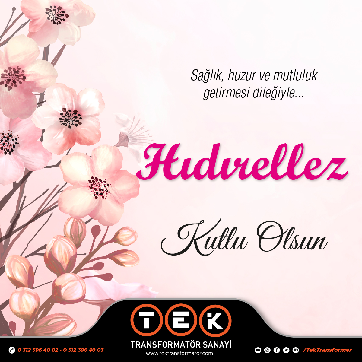 TekTransformer tweet picture