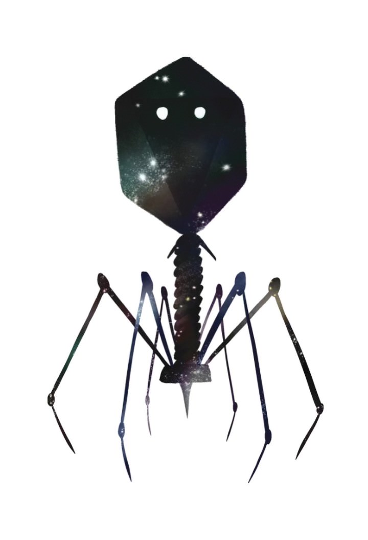 PHAGE: Therapy, Applications, and Research (@phagejournal) on Twitter photo #Phriday-#phage to get a twinkle in your viral dark matter research! π by <a href="/Ellie__Jameson/">Dr Ellie Jameson</a> from our latest issue
π liebertpub.com/toc/phage/4/1 #Phriday-#phage to get a twinkle in your viral dark matter research! π by <a href="/Ellie__Jameson/">Dr Ellie Jameson</a> from our latest issue
π liebertpub.com/toc/phage/4/1